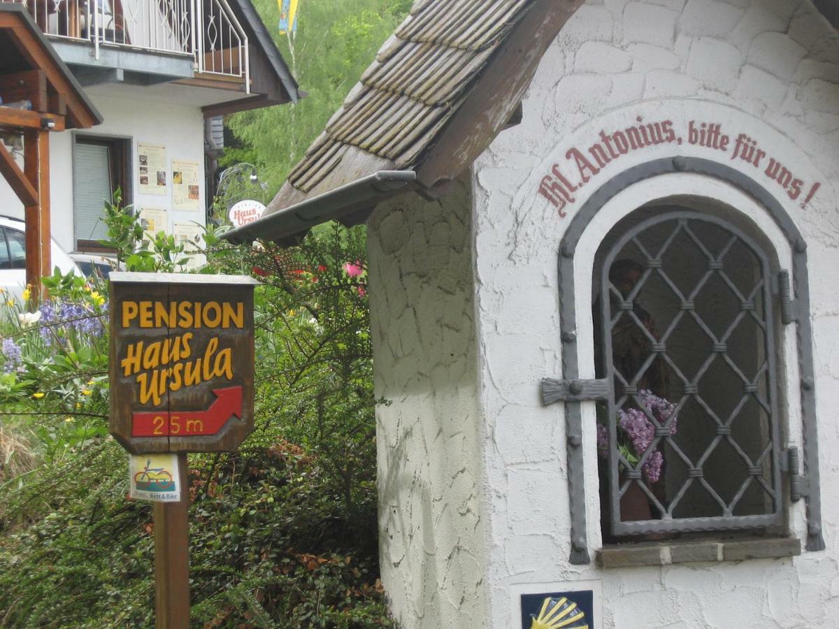 Pension Haus Ursula Koblenz  Eksteriør bilde