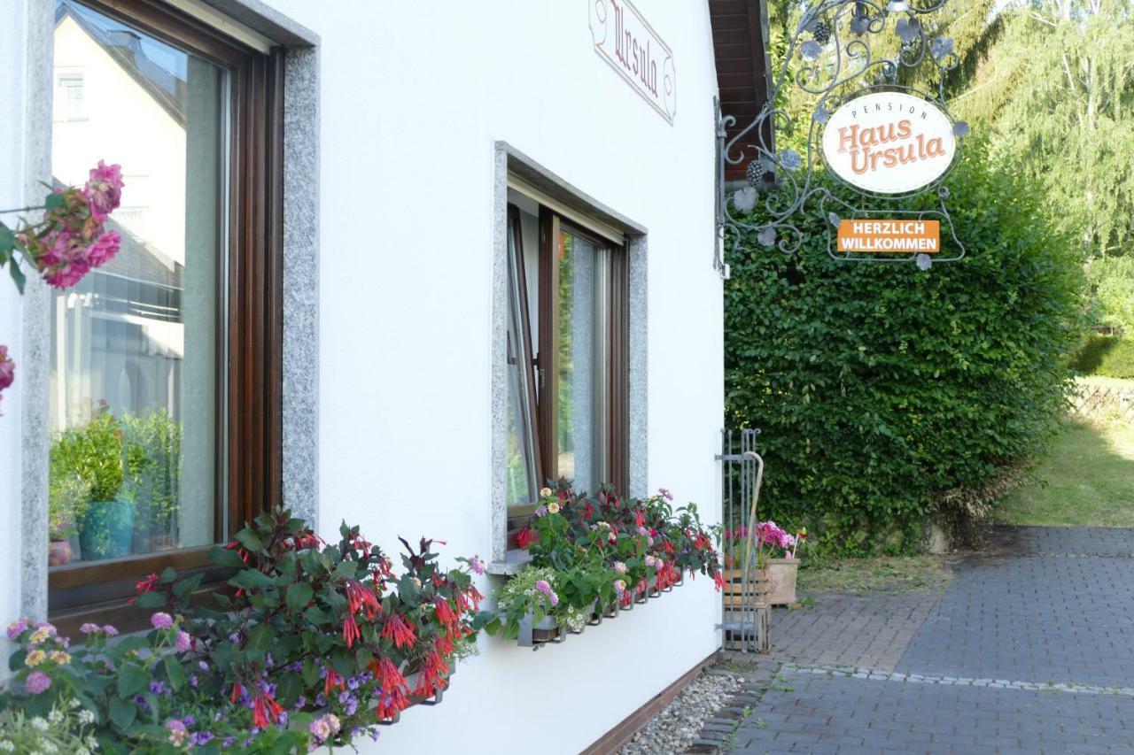 Pension Haus Ursula Koblenz  Eksteriør bilde